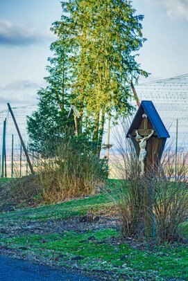 Thumbnail: 16_JA_3288 Huber, Hopfengarten.jpg